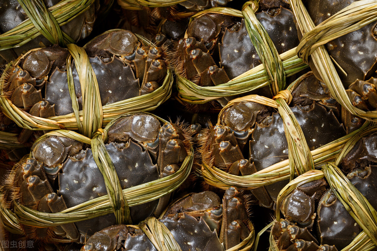 蒸熟的螃蟹放冷藏室最多能放几天,蒸熟的螃蟹放冰箱冷冻后还能吃吗