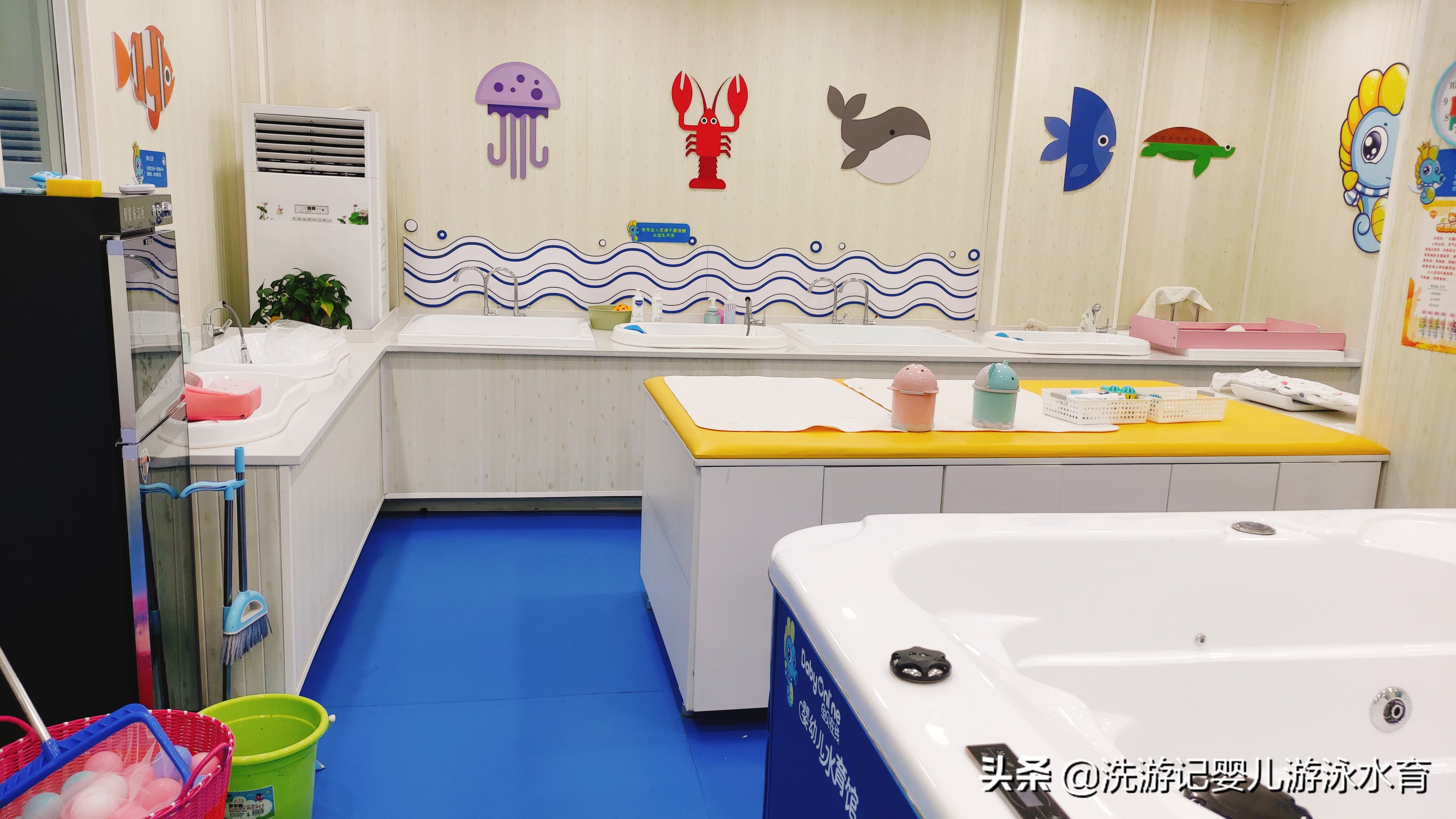 婴幼儿游泳加盟,婴儿游泳加盟需要什么条件