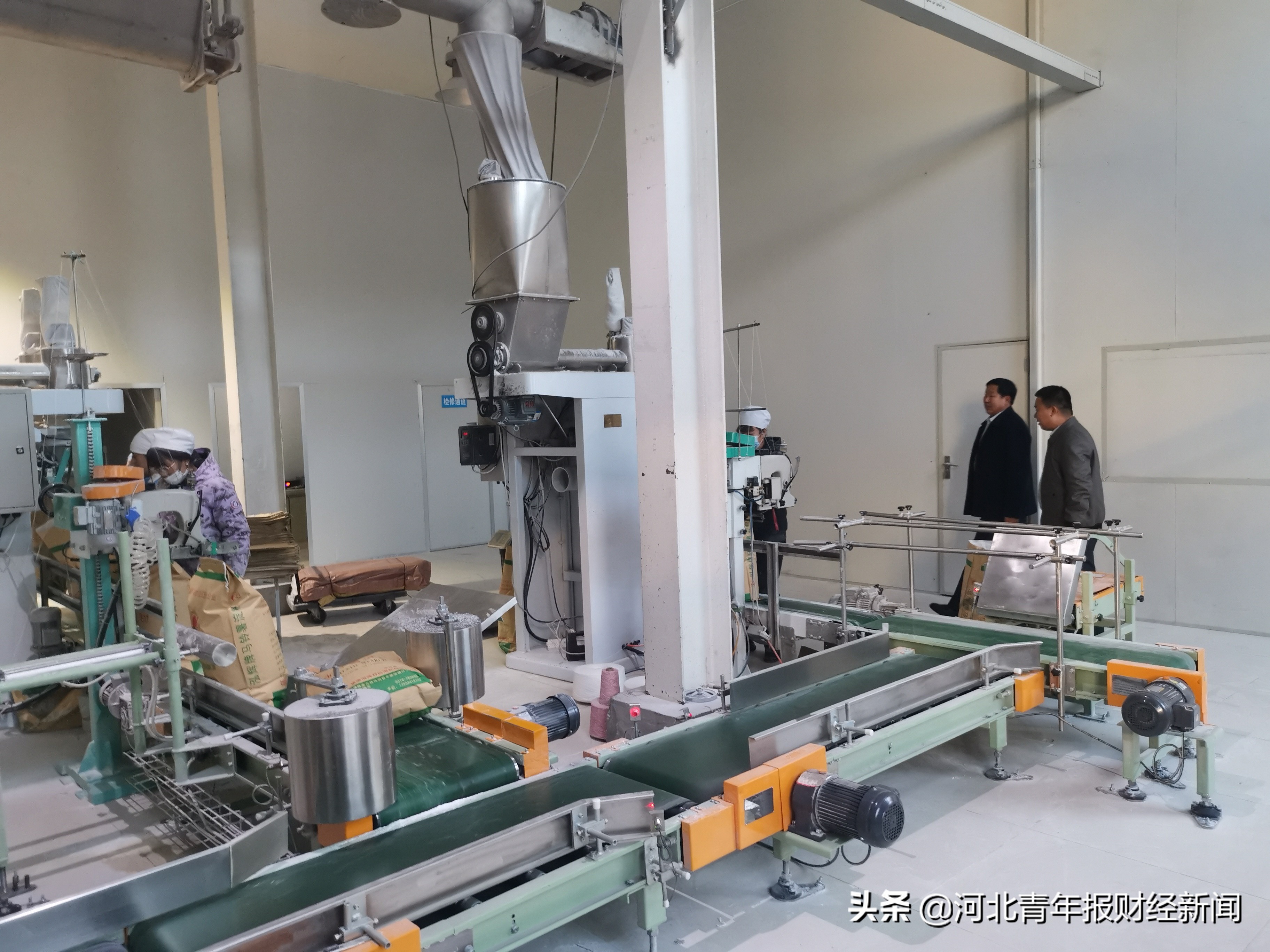 閲戣瀺娲绘按娴囩亴鍒涗笟涔嬭姳,閲戣瀺娲绘按娴囩亴涔℃潙