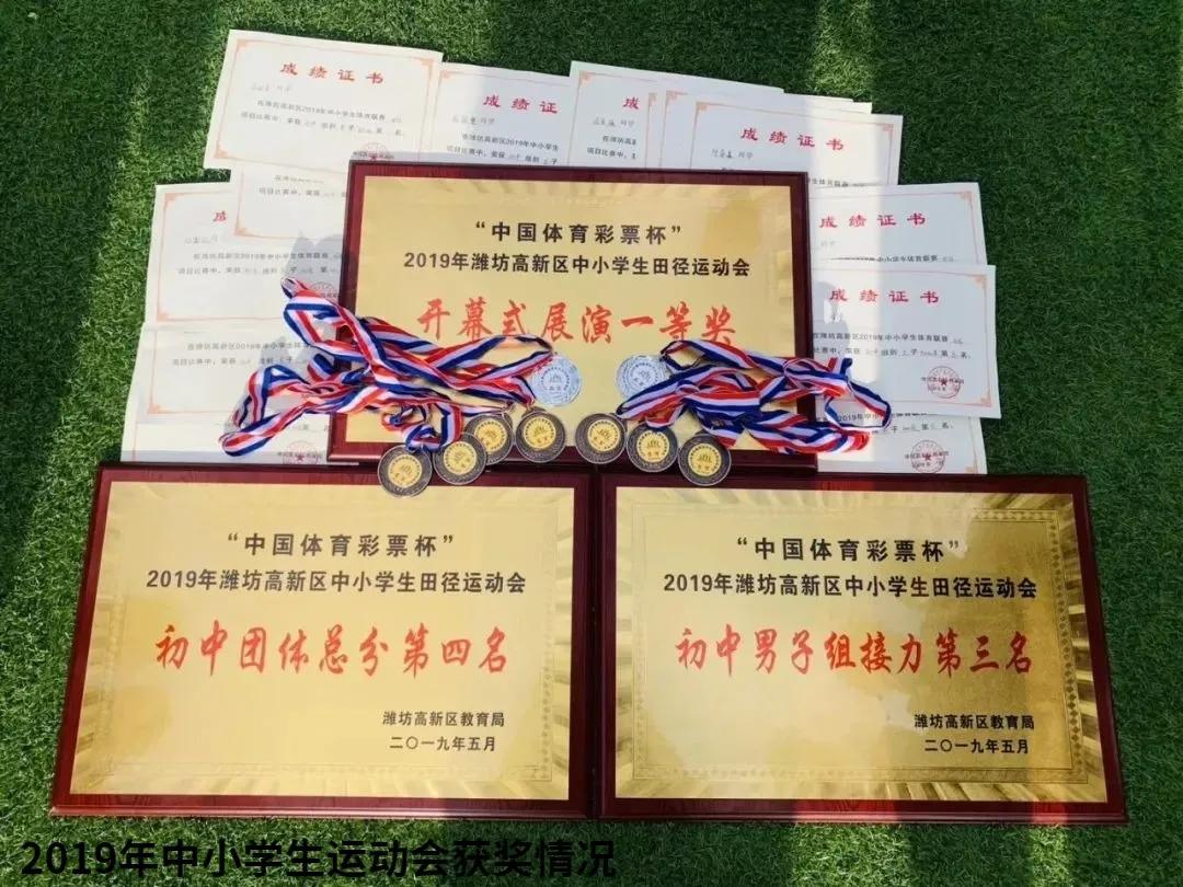 潍坊新纪元学校小学美术,潍坊高新区上海新纪元学校