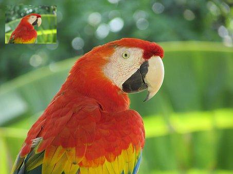 常见的图像处理方法有几种,简单的图像处理知识