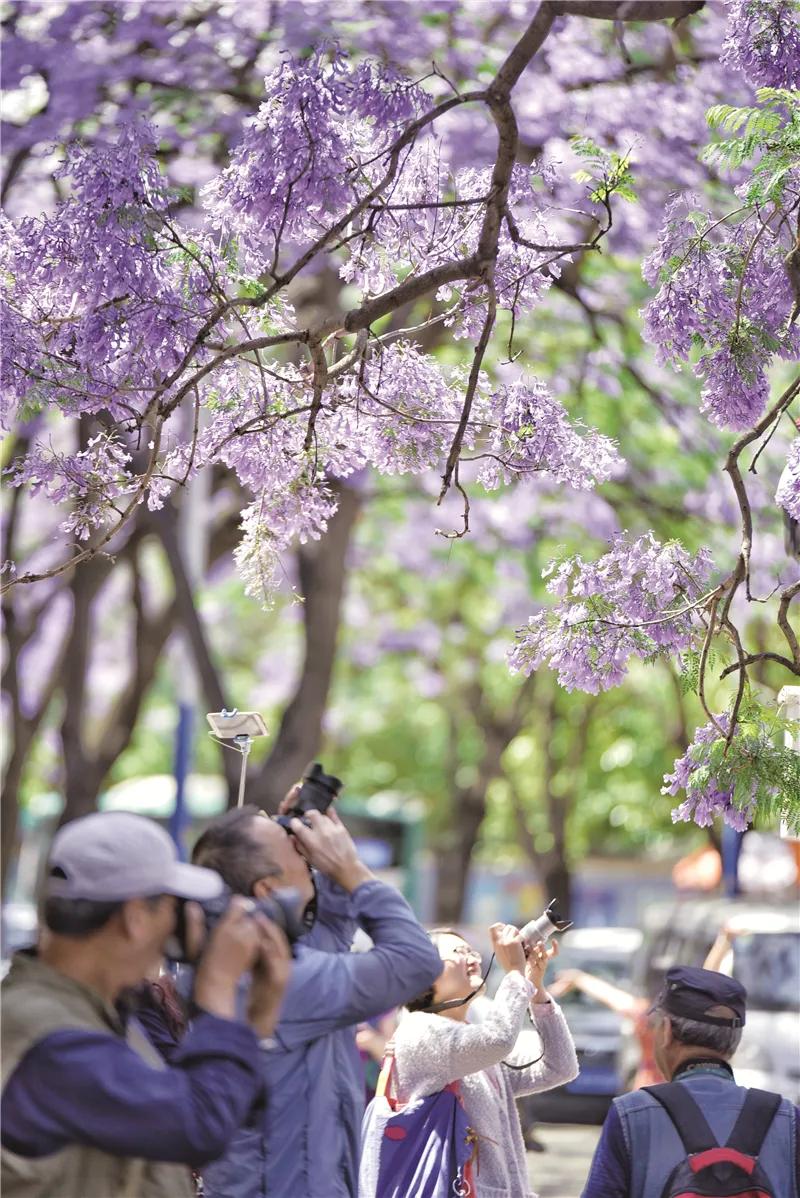 来云南一起看风景吧,来云南一起过年吧