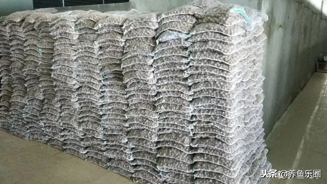 这位土豪家的渔场，光滤材就花了500多万，你确定不要见识一下？