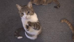 3000+在看的假博主，邀你看长沙“御泥坊”