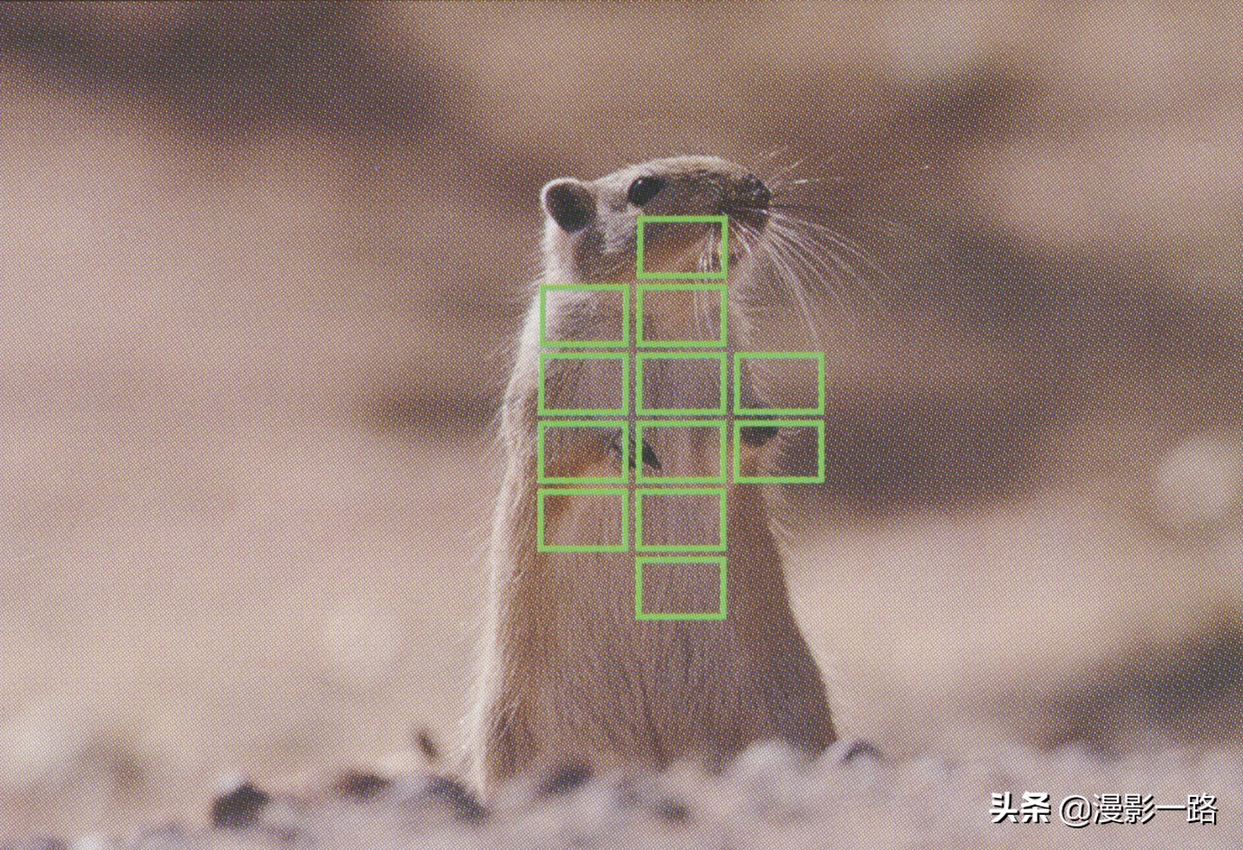 奥林巴斯em1x对焦有多强,奥林巴斯e-m1x暗光拍摄画质不好