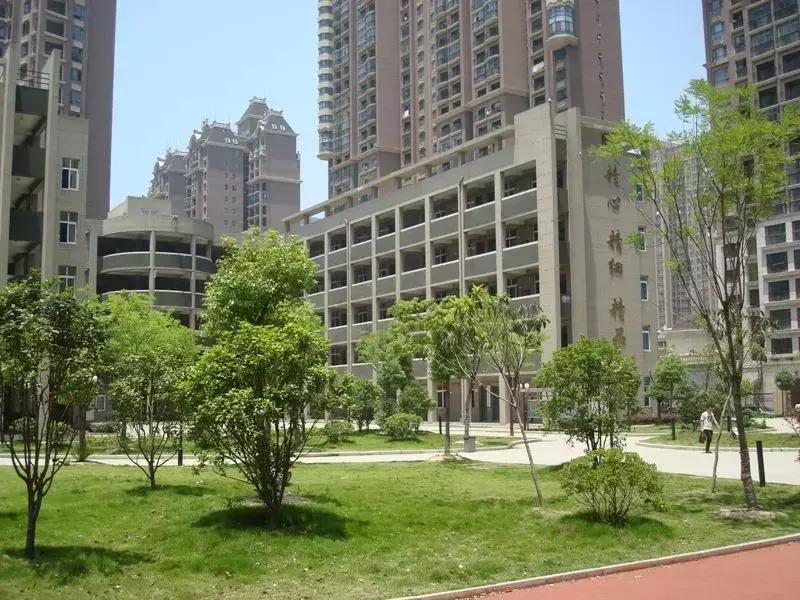 合肥三十八中分校是哪个学校,合肥38中学学区划分图