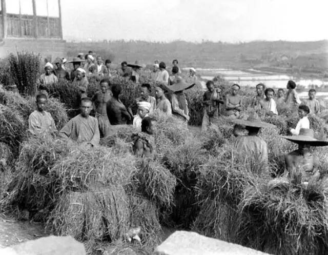 姘戝浗鏃╂湡娴欐睙鍏ㄥ浘,姘戝浗鍚勭渷鍥剧墖