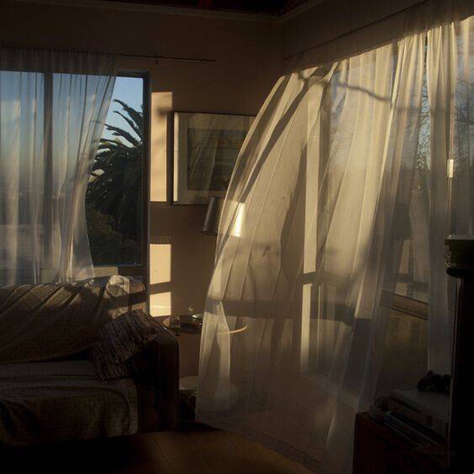 窗户东边开,健康自然来。不看不知道,一看必记牢