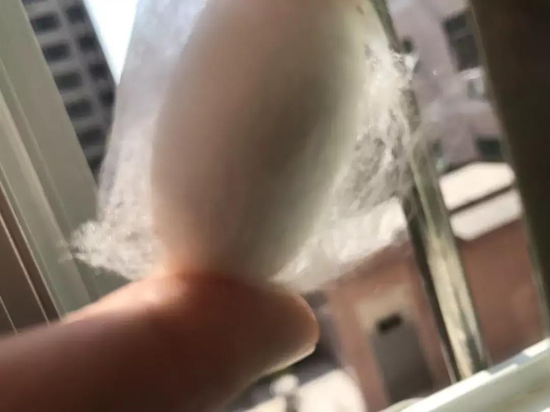 蚕宝宝你在养吗,蚕宝宝养的过密会死吗