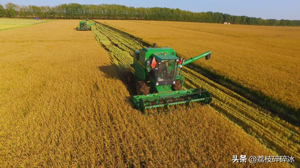 赌王炒饭5000一碗,赌王吃的炒饭图片