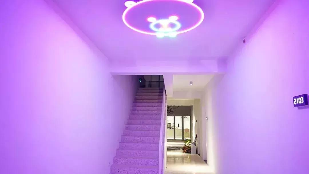 去上海必去的民宿,上海树林民宿推荐