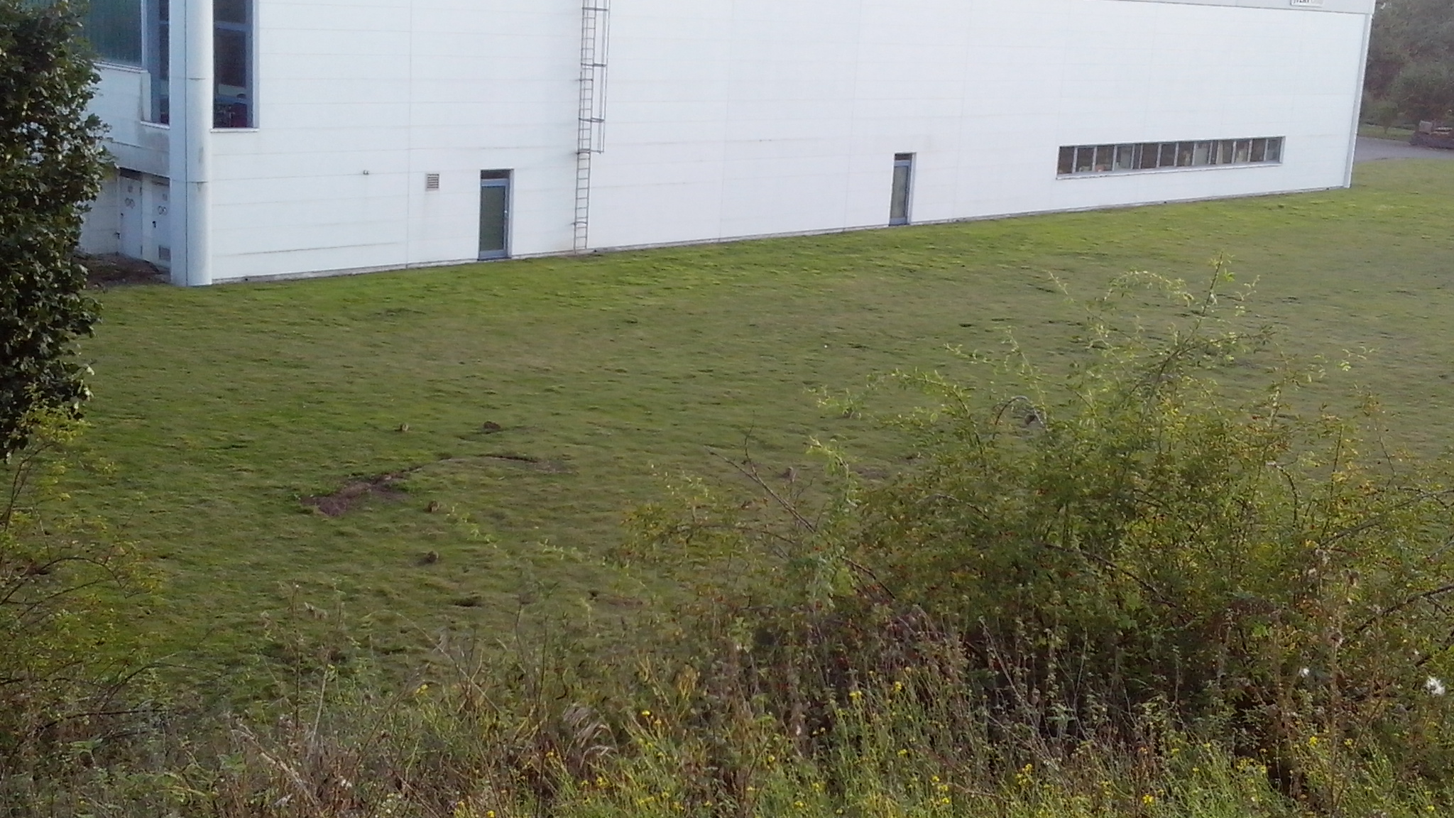 德国男人谨慎又开放，哪是真，哪是假，你怎么看？