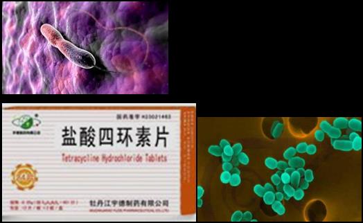 抗菌药物止咳化痰药物,抗菌药有哪些口服药