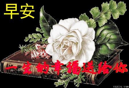 早上好最新祝福语动态表情图片,早上好问候语祝福短句带表情