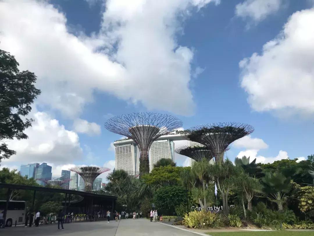 “南洋”见闻略:开怀有自新加坡