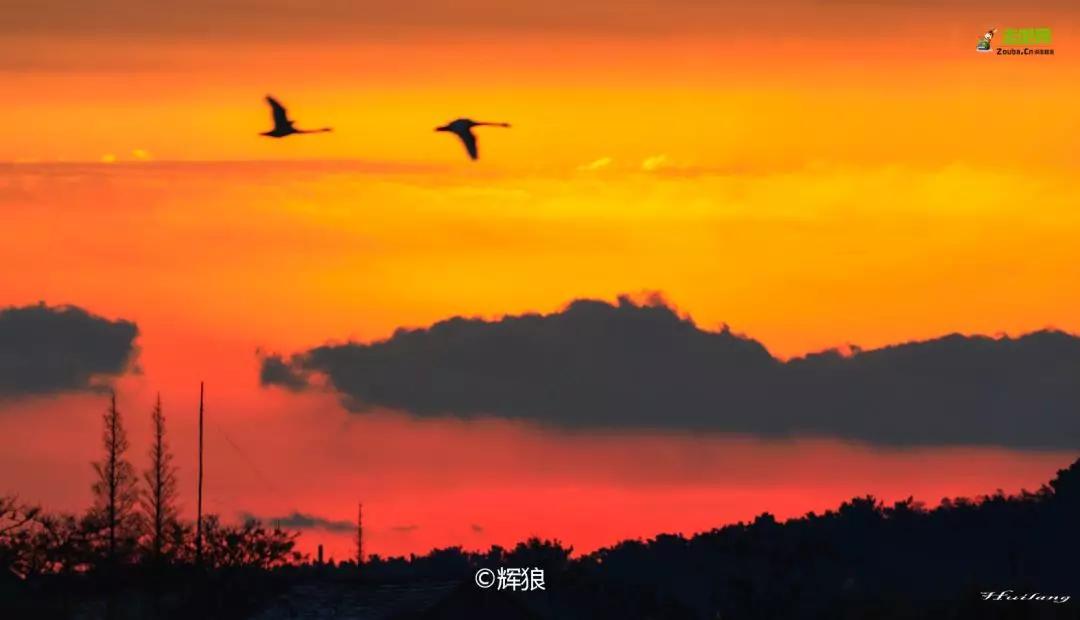 过年了你的爱车清洗了吗,新春要把你的爱车打扮美美的