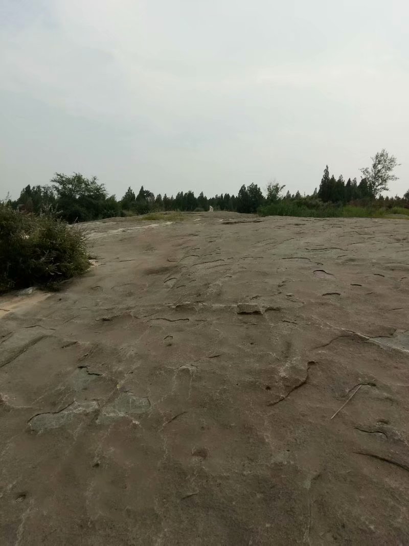 秋天的杨府山公园,秋天的泉山森林公园