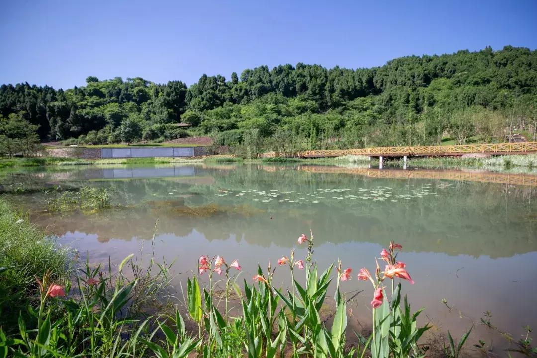 全球最大的城市森林公园,全球最绿色的城市