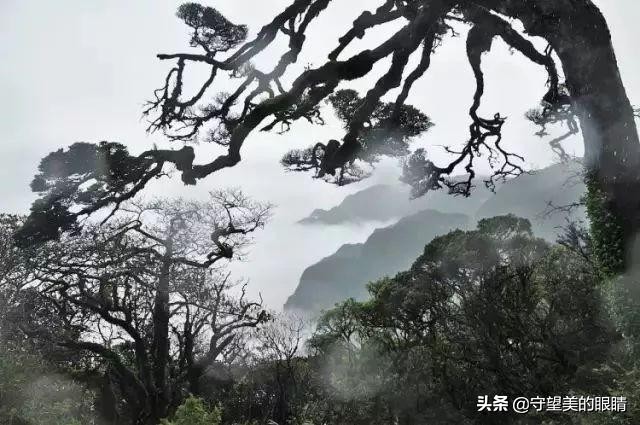 广西旅游壮美广西,下一站广西南宁完整版