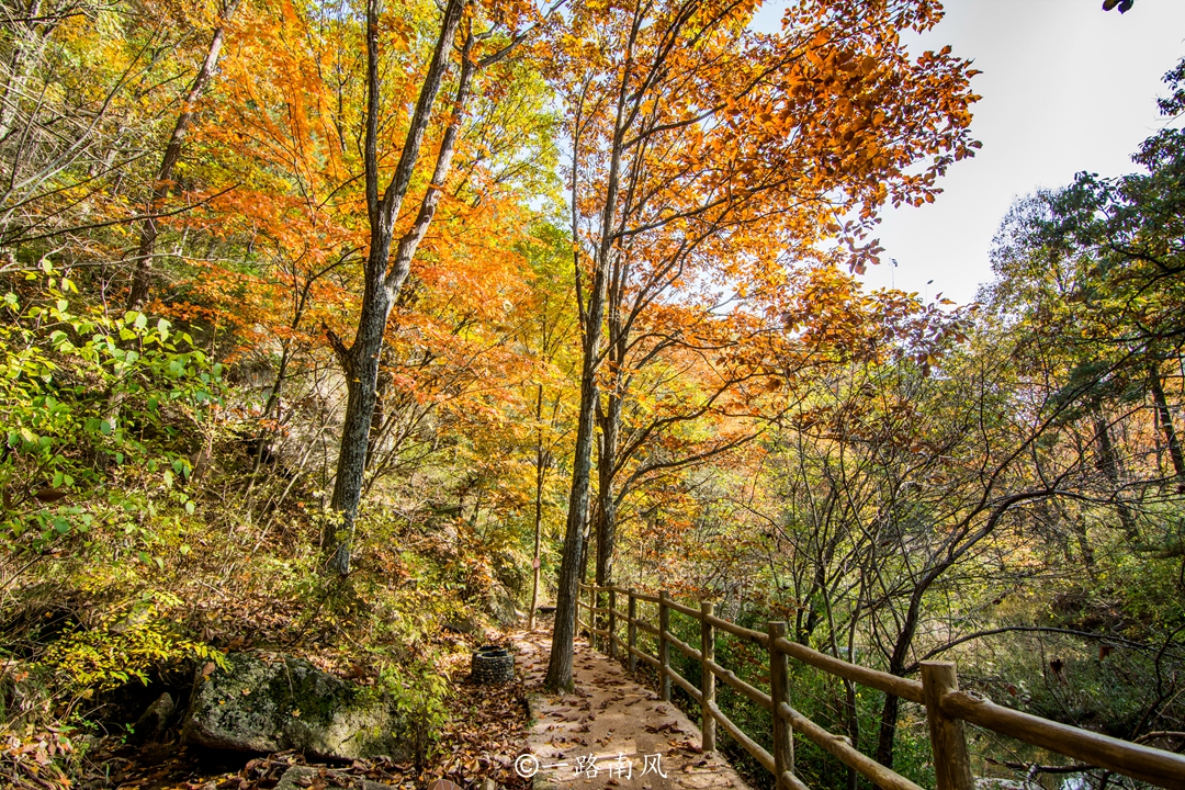 洛阳白云山美成了仙境,河南洛阳市白云山风景区