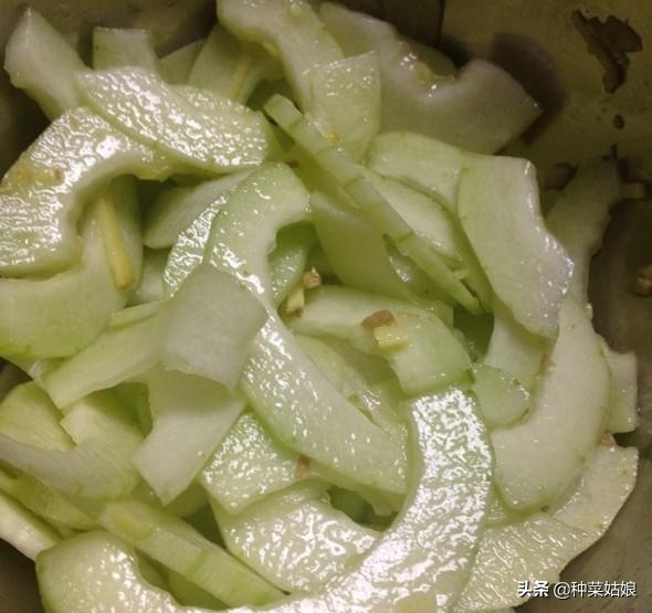 适合南方春季种的蔬菜有哪些,春季种植什么菜最好