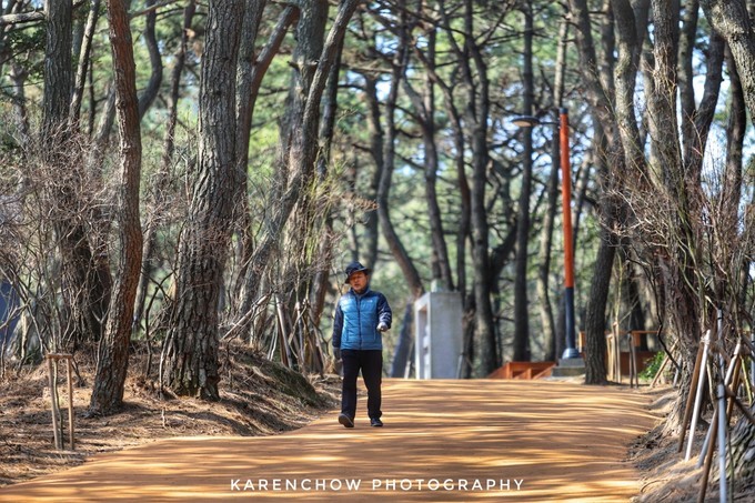 韩国安东美食,韩国釜山必游胜地