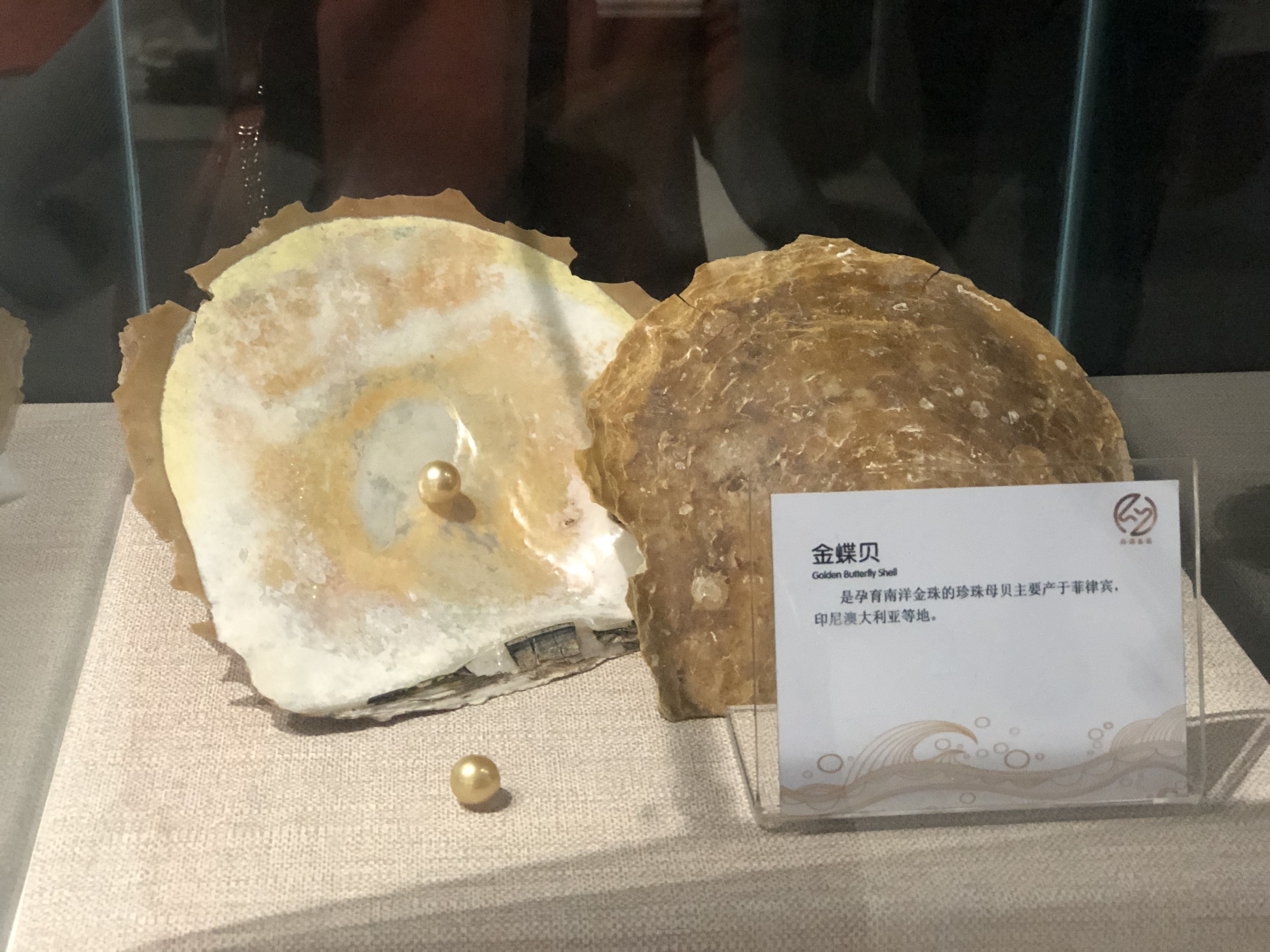 北海跟团游陷阱,低价北海旅游团套路