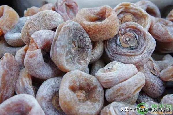 种柿子的正确方法,柿子开花后掉果是什么原因