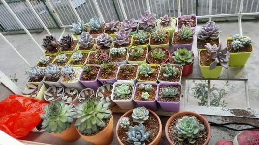 现在流行摆地摊摆什么地摊最赚钱,现在摆地摊哪种行业最赚钱