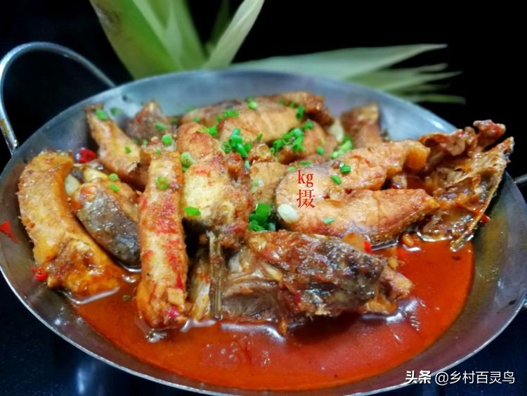 舌尖上的家常菜鱼,舌尖上的味道百吃不腻完整版