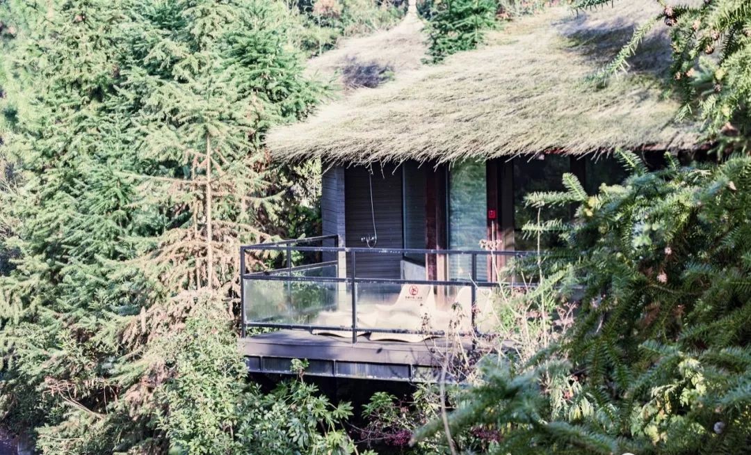 莫干山裸心谷,莫干山裸心谷住宿