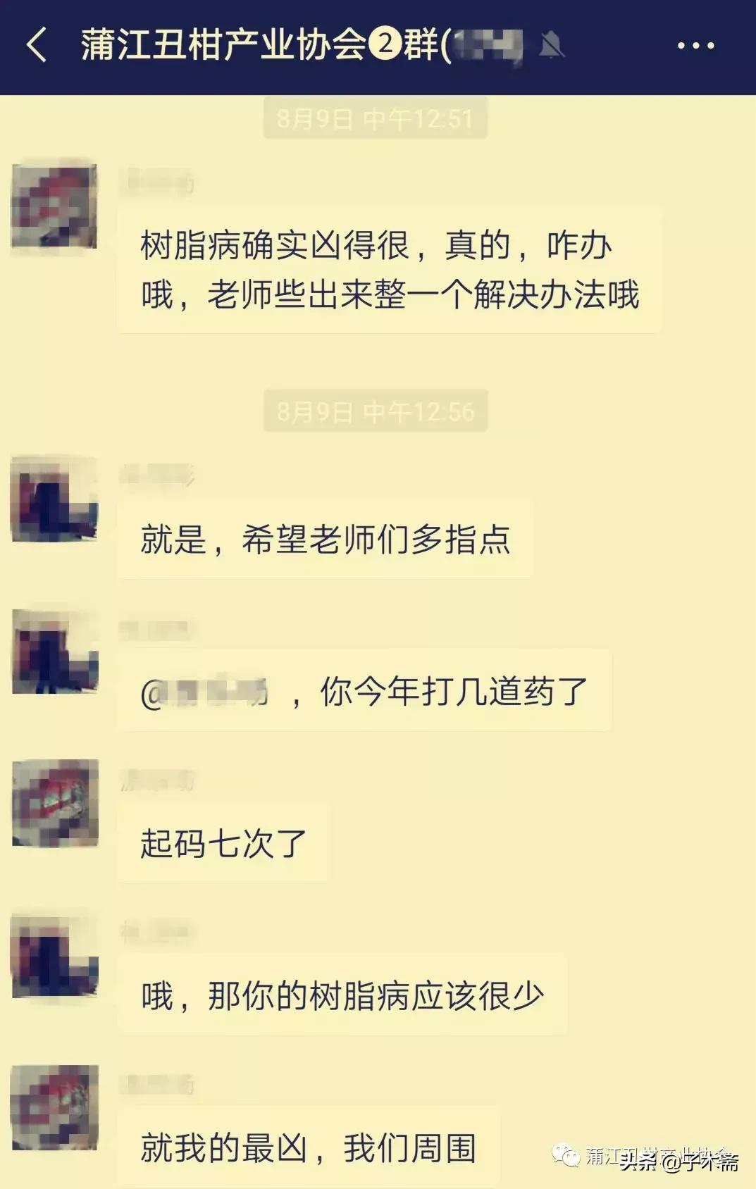 树脂病防治最佳时间,树脂病有特效药吗