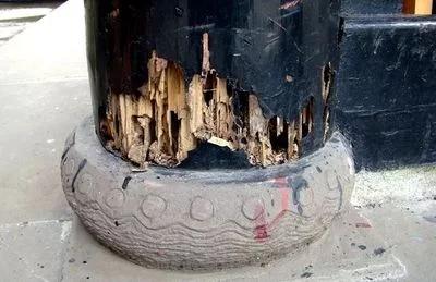 白蚁防治院,白蚁的防治价格