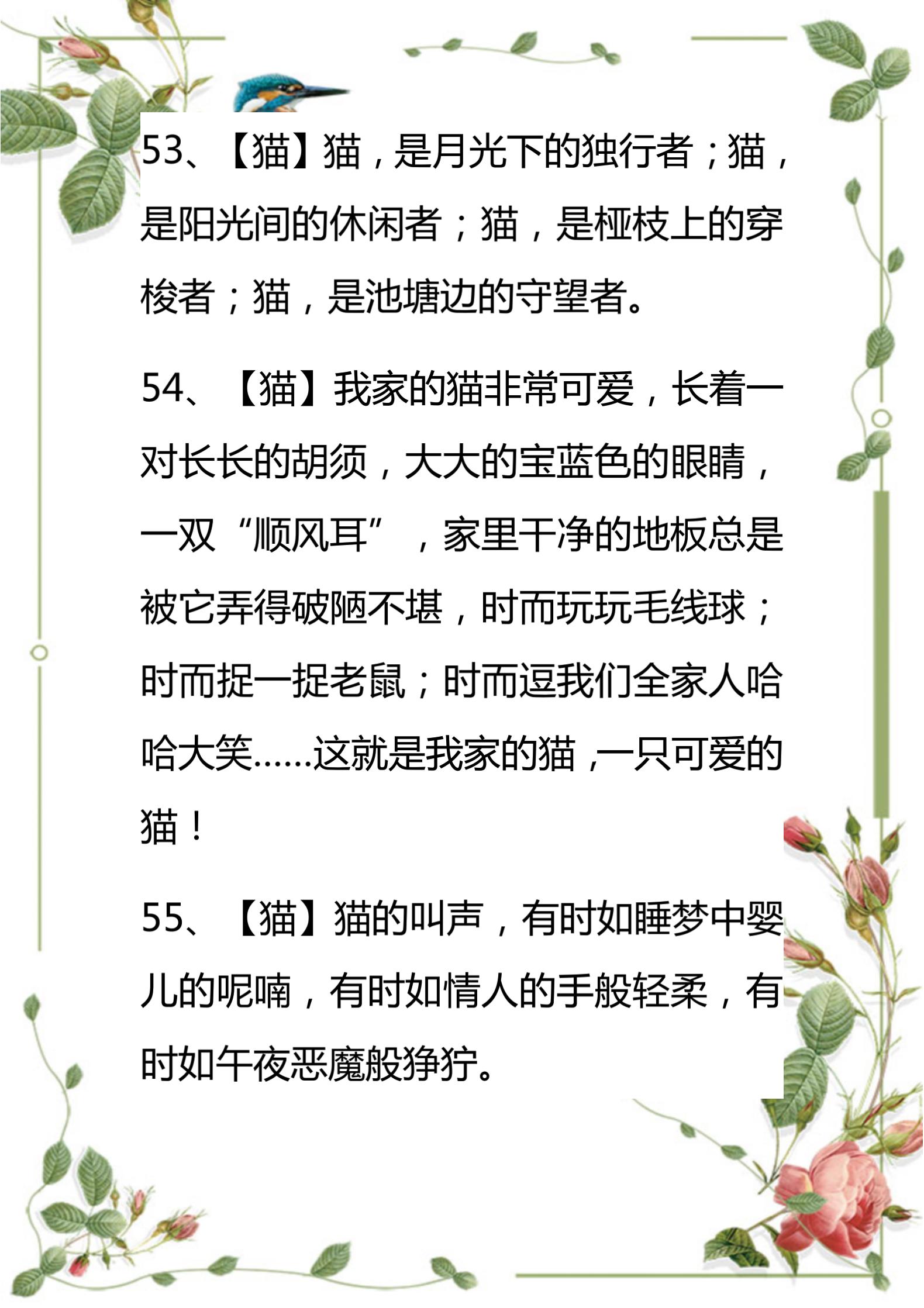 小学生常见简单的排比句100句,小学语文必背排比句