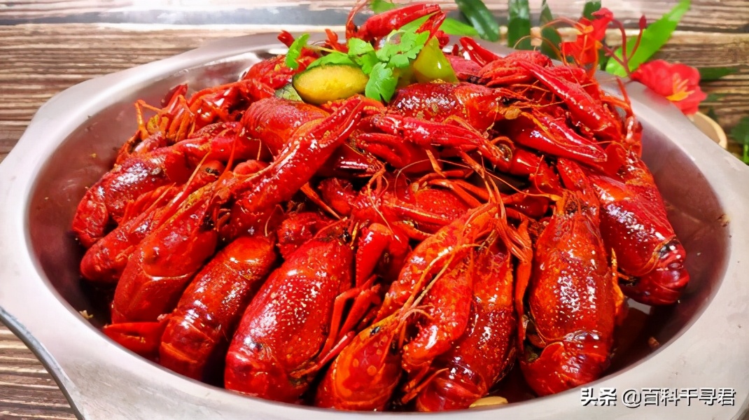 我国有哪些入侵物种及危害,中国754种入侵物种有哪些可以吃