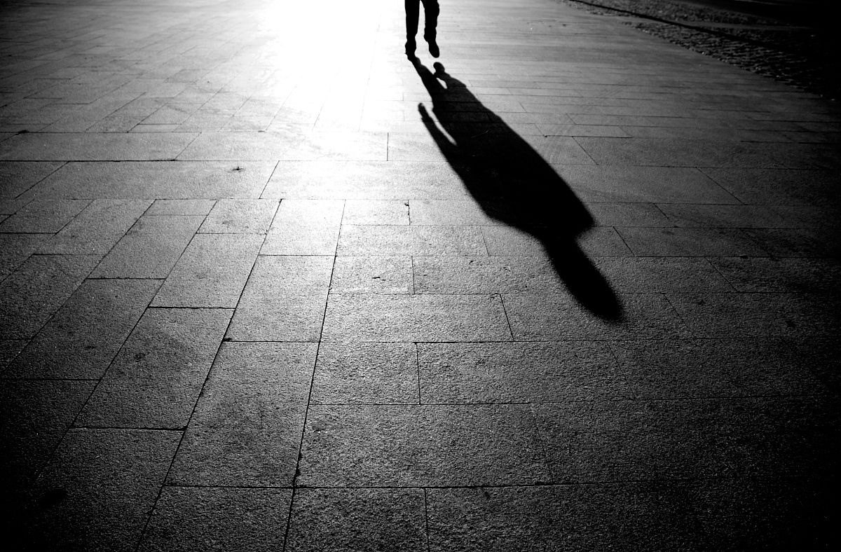 被蛇咬急寻抗蛇毒血清,专家被蛇咬伤抗蛇毒血清