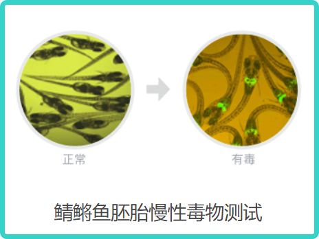 测18款美白精华,9款有效美白,但其中4款用了要出大问题?