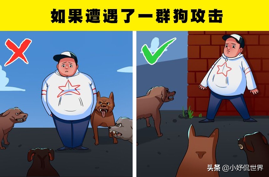 怎么让狗狗对你放下戒备心理,如果狗狗对你有攻击性该怎么办