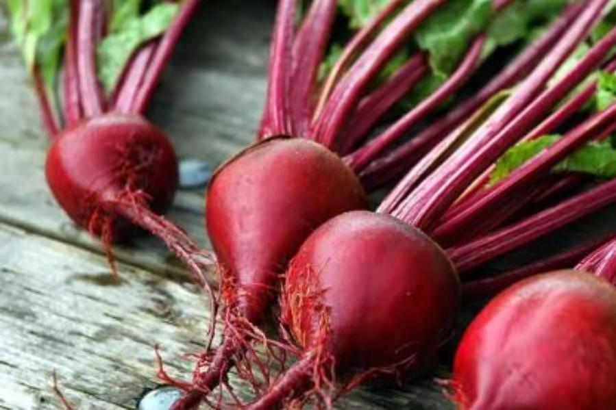 添加剂大鲫大鲤钓黑坑鲤鱼怎么样,鲫鱼添加剂野钓专用