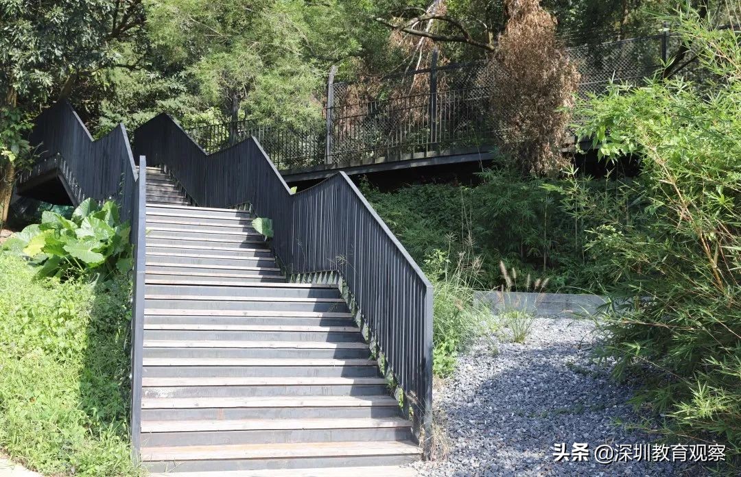 走名校vol.8|三年，明德国际体系走出怎样一条新路？