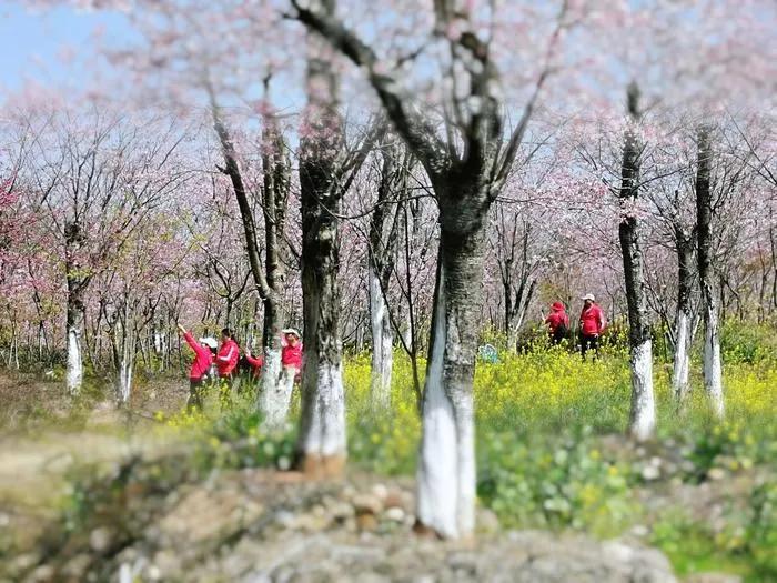 福建邵武旅游景点,