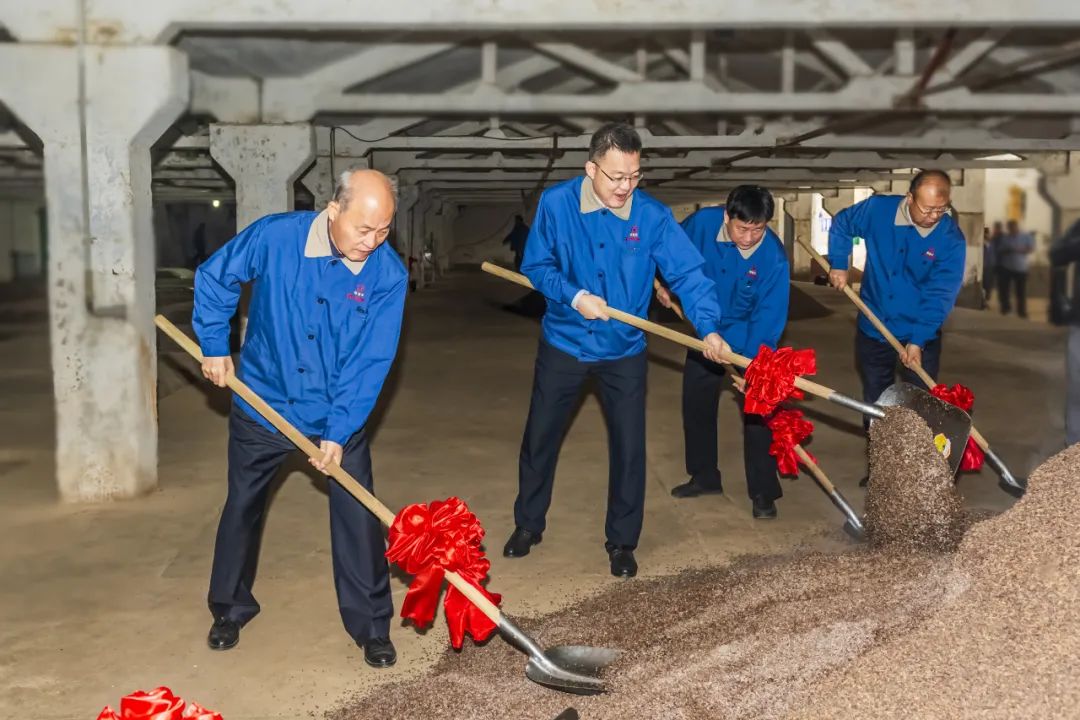 顺应天时适时耕作,酱酒核心产区迎来新一轮下沙