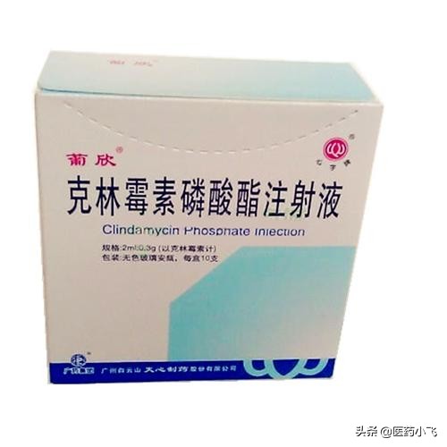 克林霉素和甲硝唑,克林霉素能喝酒吗