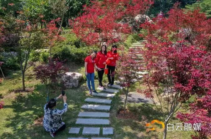 帽峰山看枫叶路线,帽峰山看枫叶