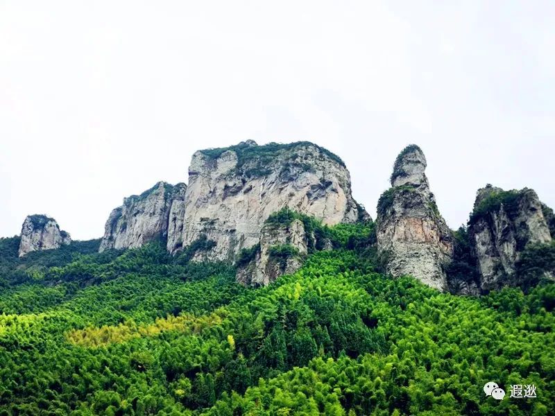 乐清仙溪有哪里好玩的 (乐清仙溪镇景点)