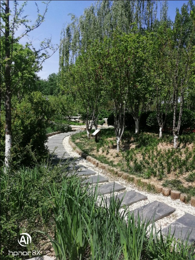 减河公园,减河公园的视频