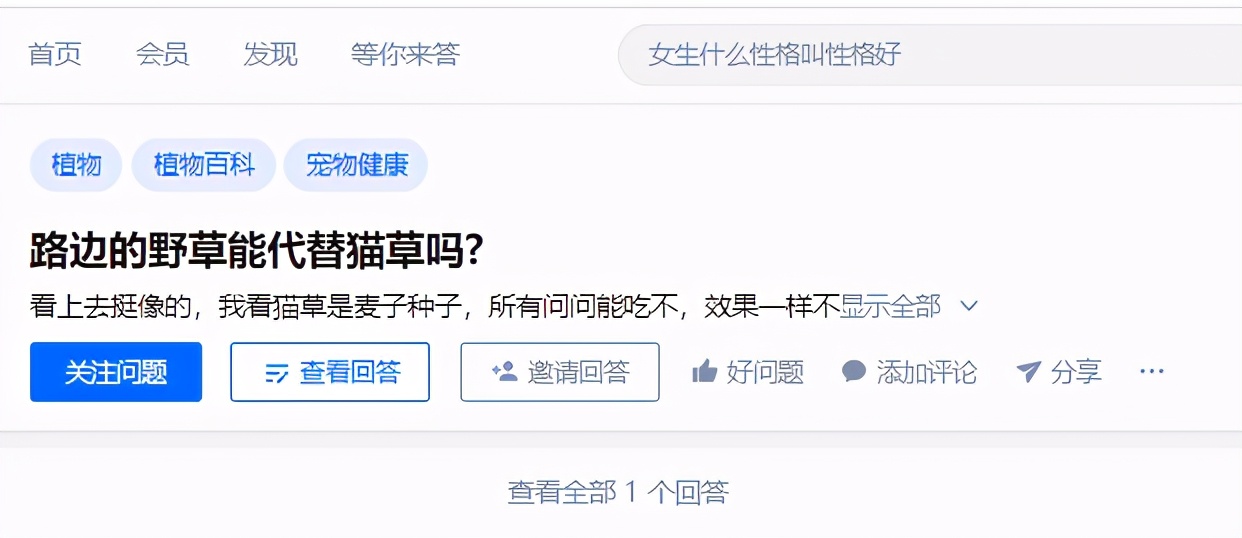 路边随便采野花,路边哪些草可以当猫草