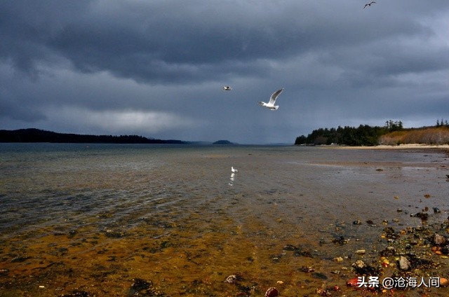 披头士歌曲大全100首,披头士乐队最经典歌曲