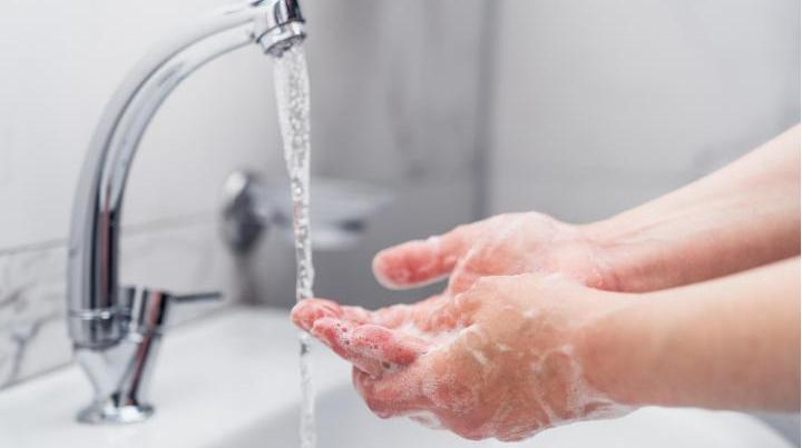 上海食神供应链管理,上海食神供应链有限公司