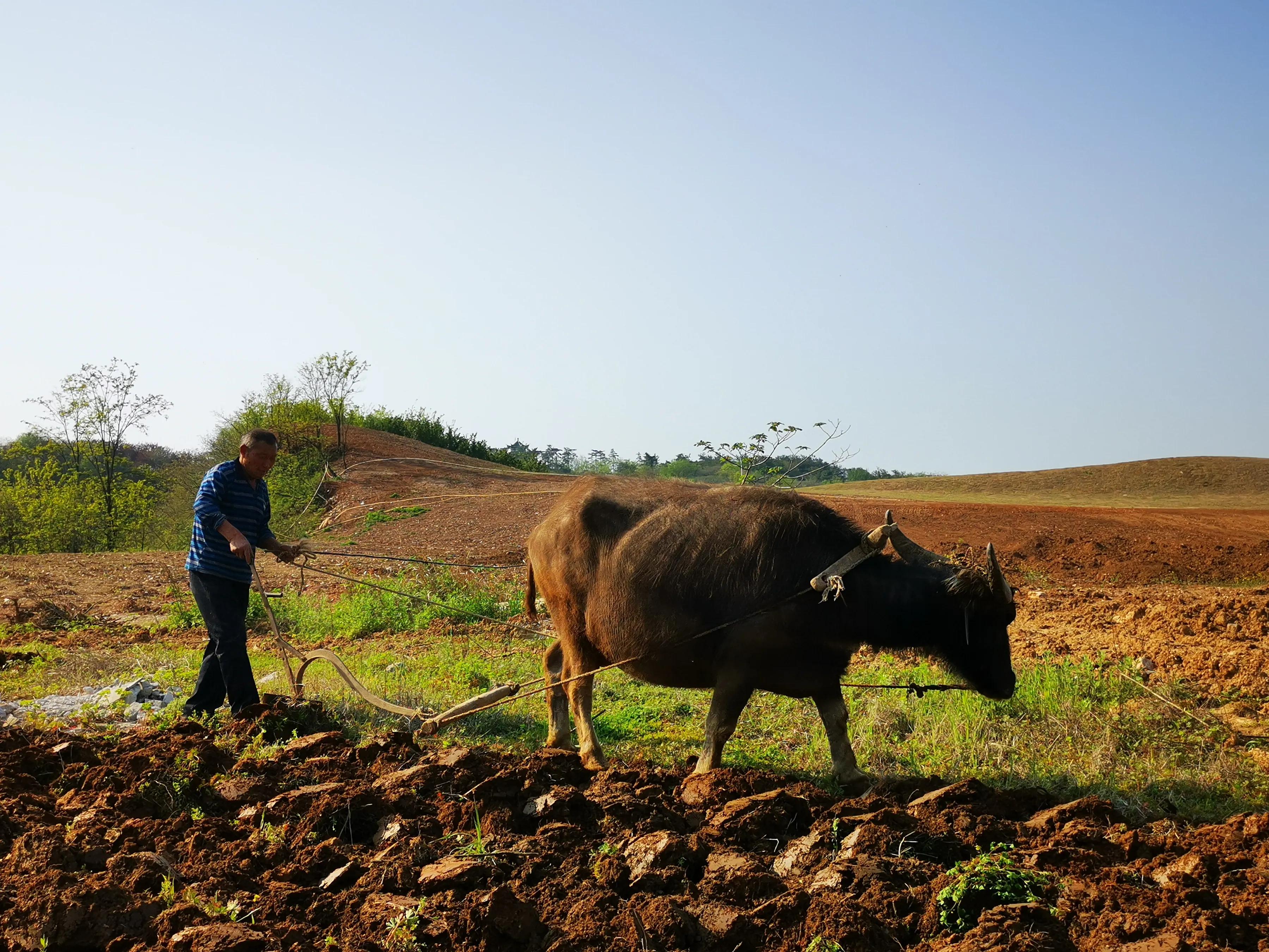 手拍世界（手机摄影平台）-群员作品集（总第671期）